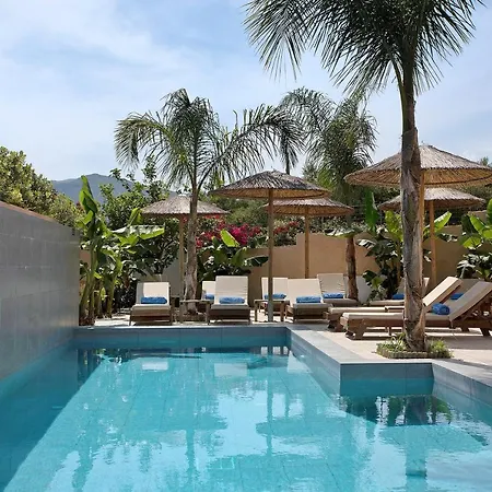 Apartment Dionysia S4 Alykanas (Zakynthos)
